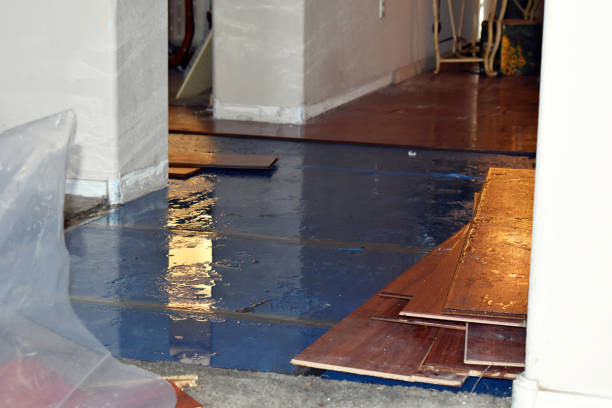 Professional Basement Flood Cleanup technician working in Mills River, NC